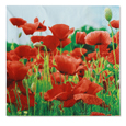 serviette coquelicot