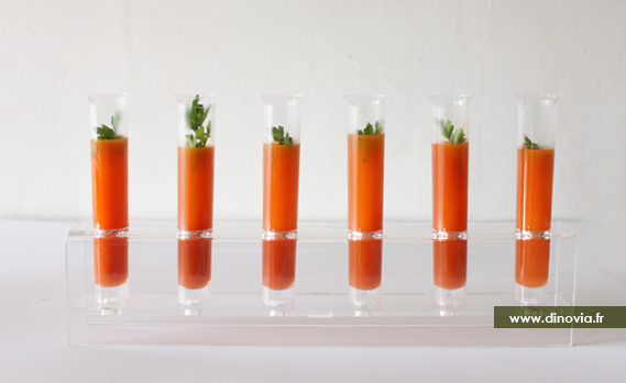lab-carotte